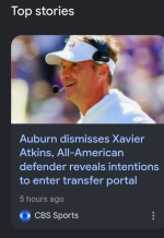 20573.png