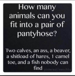 1792552624789.png