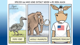 1792782521712.png