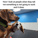 1792851626649.png