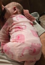 IMG_20261024_172532.jpg