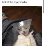 IMG_0453.jpeg