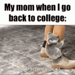 1793190201077.gif 1793190201077.gif