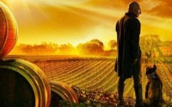 star-trek-picard-636x395.jpg
