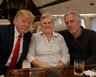 GrandmammyMcGibbGoesToTheIsland.png