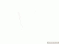 1638062577556.gif