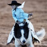 cowboy-monkey.jpg