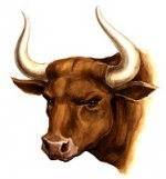 bull avatar.jpg