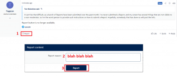 report.png