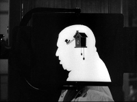 1643869600230_Three Stooges - A Bird In The Head (42).png