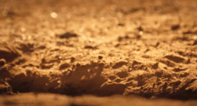 9179497A-B534-44C1-A835-AA8D6B0E747A.gif