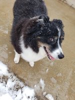 Ds8xjp-W0AAU1JO (1).jpeg