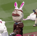 IMG_20220627_165621_01.gif