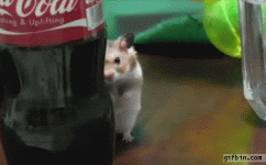 poster-1333387307_dramatic_hamster_behind_cocacola_bottle.gif