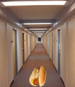 hot-dog.gif