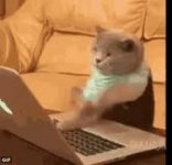 1661370230289.jpeg