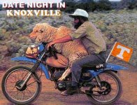 DateniteKnoxville.jpg