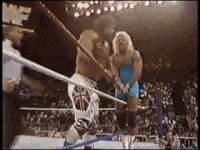 BruisedZestyAfricanparadiseflycatcher-max-1mb.gif