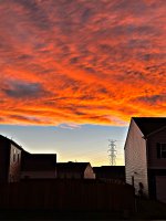 D791C2E1-8925-498A-BAA5-93D2332E0AFF.jpeg