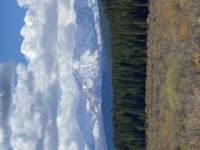 7B06F0A7-B08A-4972-96D8-30E7B859F5FF.jpeg