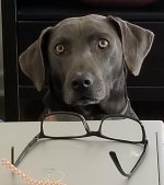 Millie reading.jpg
