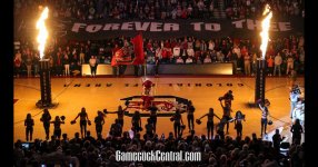 gamecocks-basketball-chris-gillespie-5.jpg