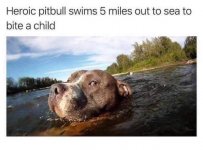 2701F431-5E8D-4DF1-AF54-EC350F559E8F.jpeg