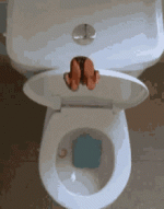 toilets-diving.gif