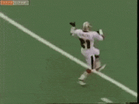 ConsciousShyKilldeer-max-1mb.gif