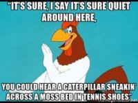 3f73b1a23103a521a91204f888660923--foghorn-leghorn-looney-tunes.jpg