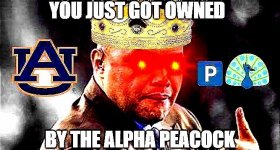 AlphaPeacockUltimate.jpg