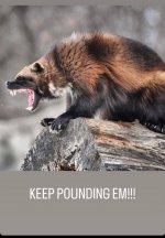 5ED63E39-794C-480D-B8D4-FFB185065A25.jpeg