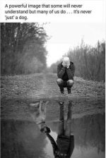 dog never just a dog.jpg