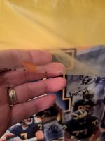 20221206_001546 3.jpg