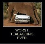 TEABAG.jpg