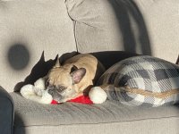 IMG_1624 (Large).JPG