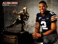 Cam Newton.jpg