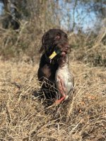 2022.12.27 Lola In Arkansas.jpg