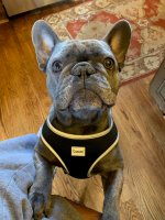 2022.02.10 Lord Otis.jpg