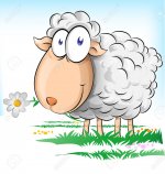 Sheep Cartoon wool.jpg