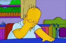 homer facepalm.jpg