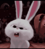 rabbit.gif