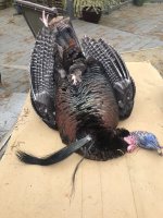 IMG_3205.jpeg