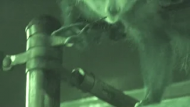 1682640813816.png