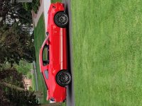 Shelby Driveway.jpg