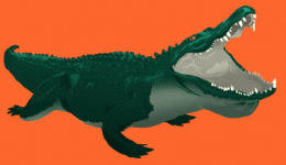 0dcf8c3c-a724-4223-9e0a-61238f539fcd_80055177611740.gif