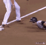 latest gamecock baseball gif.gif