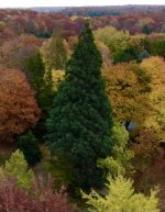 Screen Shot 2022-10-25 at 5.09.18 PM.jpg