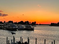 IMG_0104.jpeg