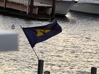 IMG_0105.jpeg